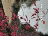 龙潭赏桃花拾遗      2025.3.28.发表