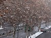 洛阳春节后的第一场雪景