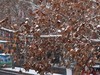 洛阳春节后的第一场雪景