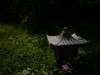 越秀公园随拍（3）