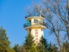 外出随拍（续308）.
