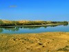早春北疆之旅（51）：流经沙漠的额尔齐斯河