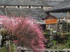 石头村2