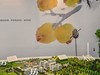 塘栖枇杷产业博览馆【塘栖一日游】