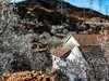 被樱花  杏花拥抱的小山村  超然村