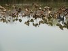 富阳阳陂湖1