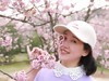 樱花醉了，我更醉，