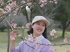 樱花醉了，我更醉，
