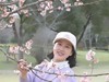 樱花醉了，我更醉，