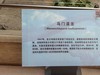 甘肃博物馆之古生物化石
