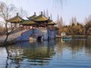 春意盎然诗情画意