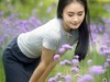 五月慢煮时光