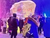雪乡---双峰林场10