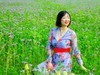 花田人影