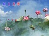 春城夏荷美《二》