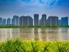 常德柳叶湖 2