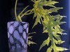 城市光影碎片之六十二