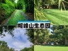 广州黄埔区农家乐团建一日游地点