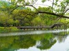 湘湖小游