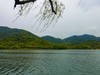 湘湖小游