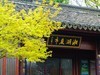 湘湖小游