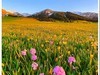 2025年- 新疆风光纪实抓拍-0438