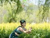 孔 雀 舞