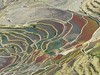 似水流年