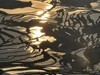 似水流年