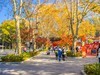 2023-12-02南京栖霞古寺（四）
