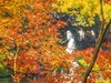 2023-12-02南京栖霞古寺（四）