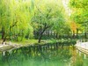 【百代小楼】——摄于上海徐家汇绿地公园