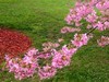 成都漫花庄园