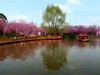 成都漫花庄园