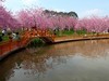 成都漫花庄园