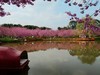 成都漫花庄园