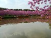 成都漫花庄园