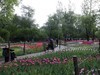 国家植物园春游