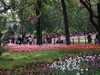 国家植物园春游