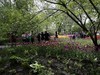 国家植物园春游