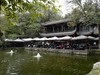 成都之行——人民公园（17）