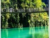 2025年- 屏山大峡谷纪实抓拍-0442