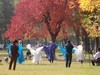 霜降中的洛阳随唐城遗址植物园