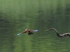 麓湖公园随拍（7）
