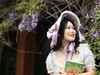 月湖公园紫腾花--6