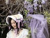 月湖公园紫腾花--6