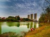 常德柳叶湖风景 18