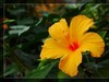 植物园拍花6