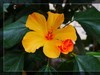 植物园拍花6