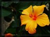 植物园拍花6